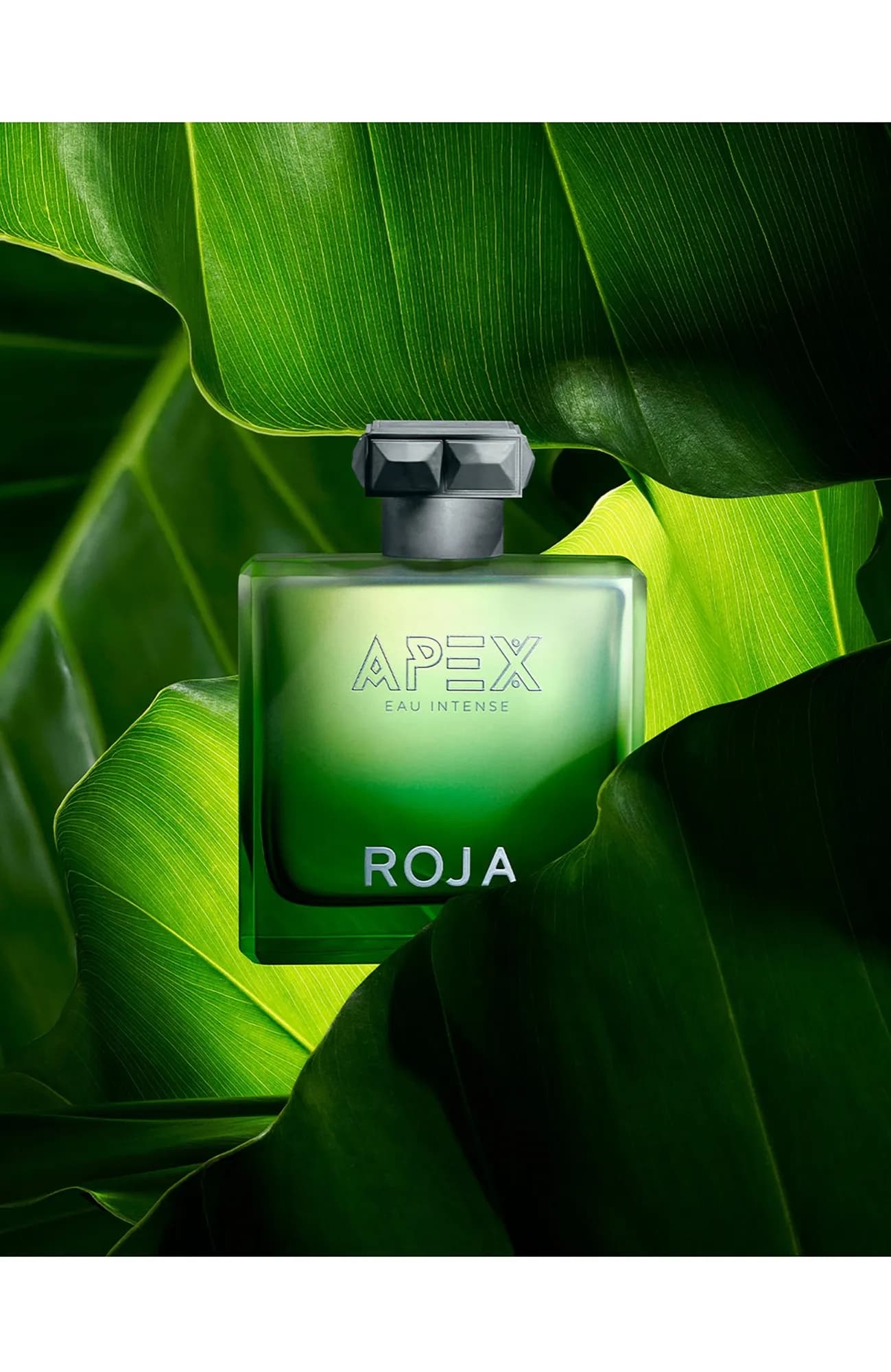 Roja Parfums Парфюмерная вода Apex Eau Intense 100 мл