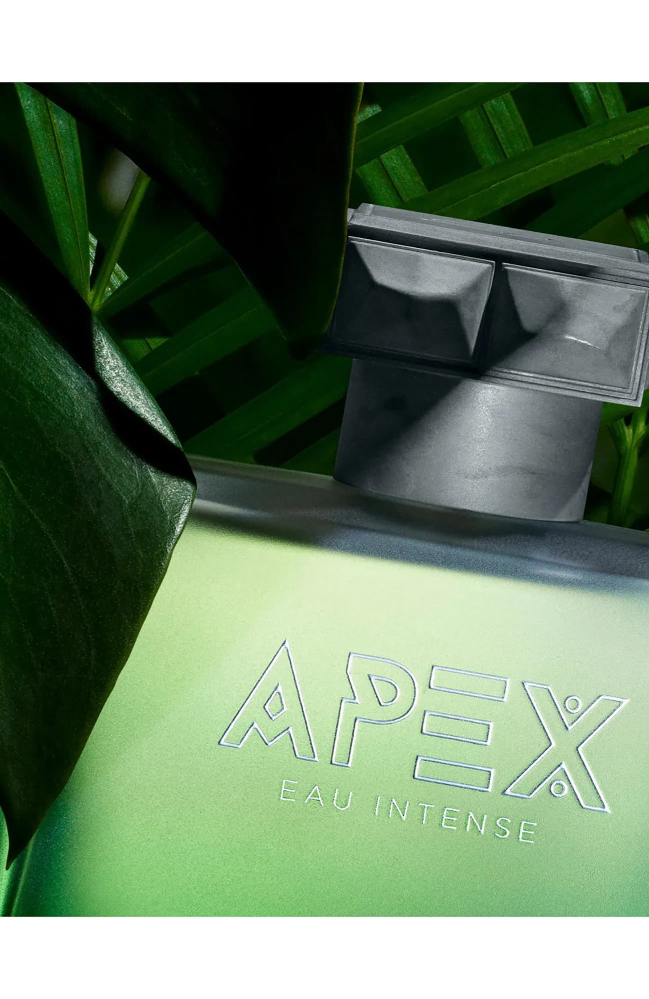 Roja Parfums Парфюмерная вода Apex Eau Intense 100 мл