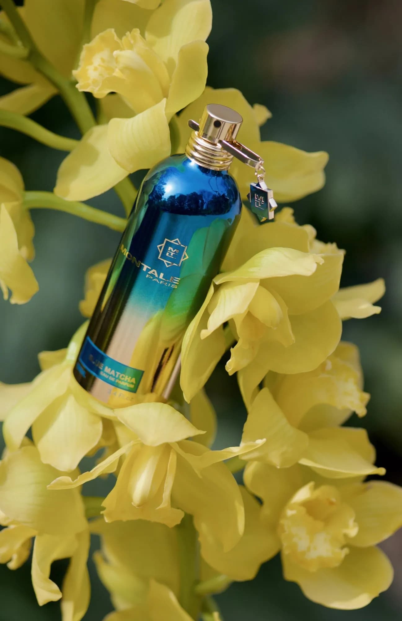 Montale Парфюмерная вода Blue Matcha 100 мл