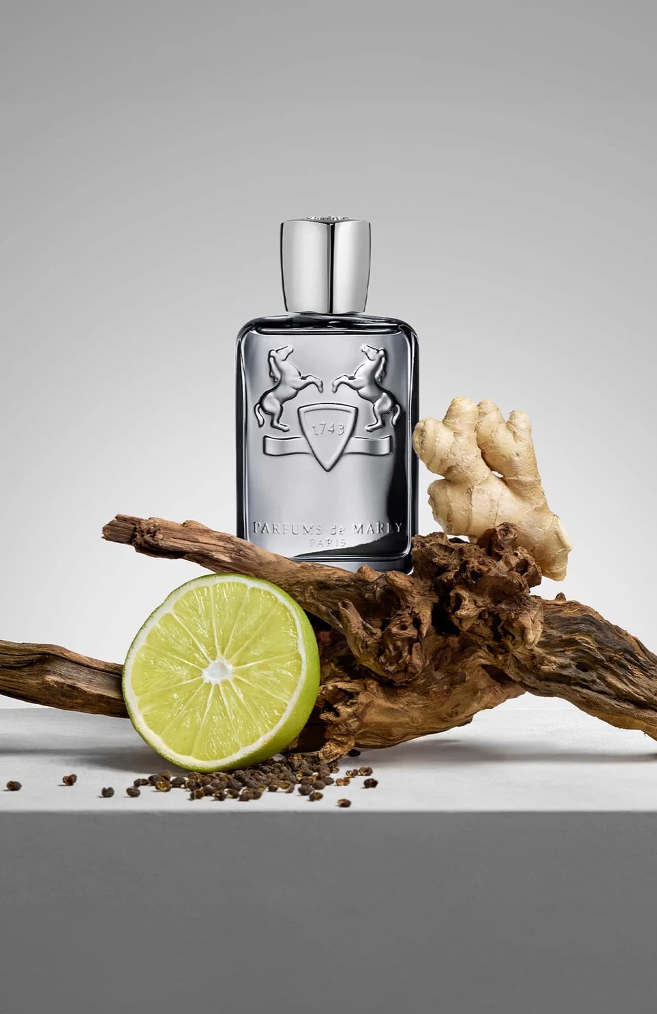 Parfums de Marly Парфюмерная вода Castley 125 мл