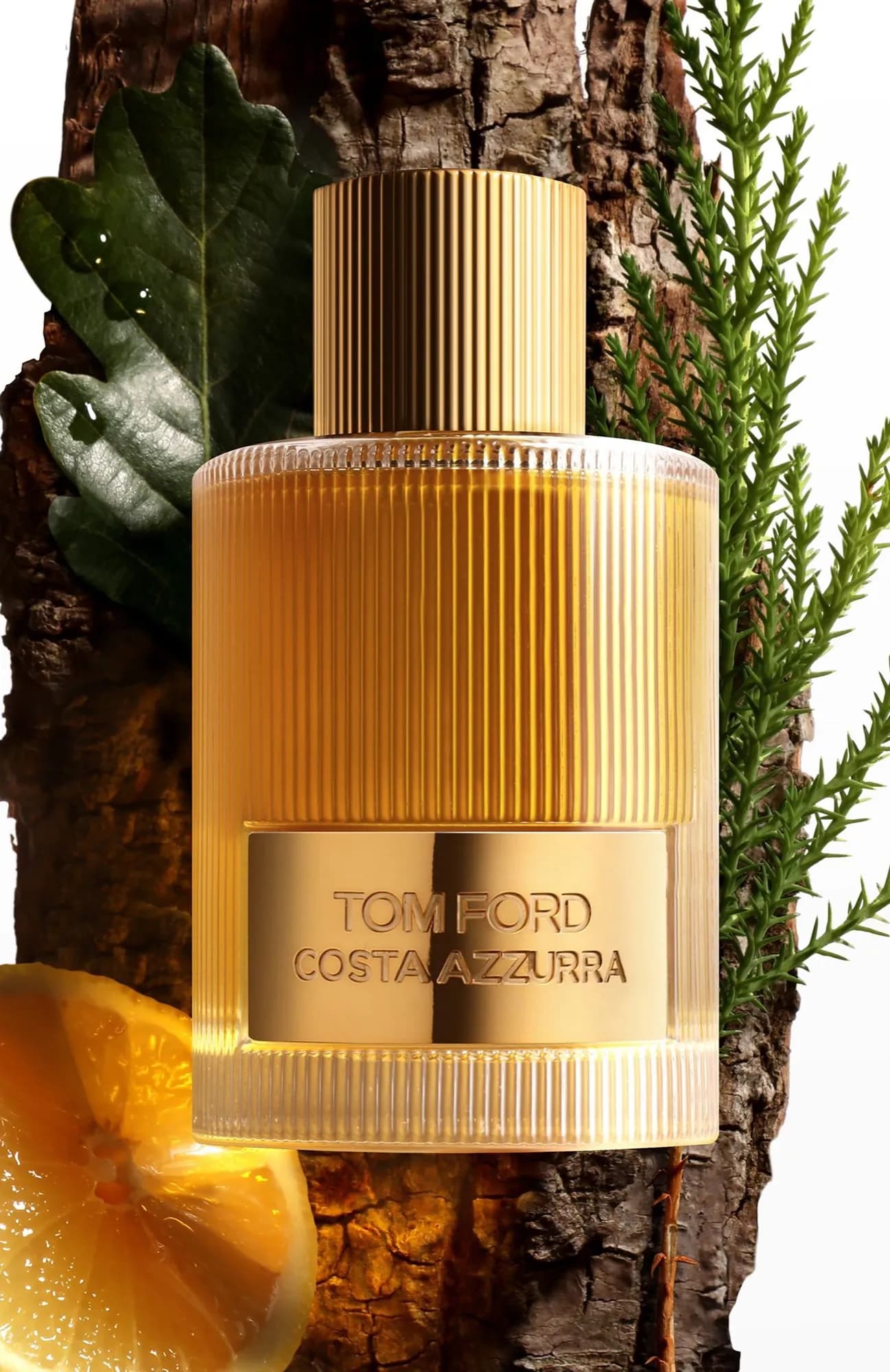 Tom Ford Парфюмерная вода Costa Azzurra 100 мл