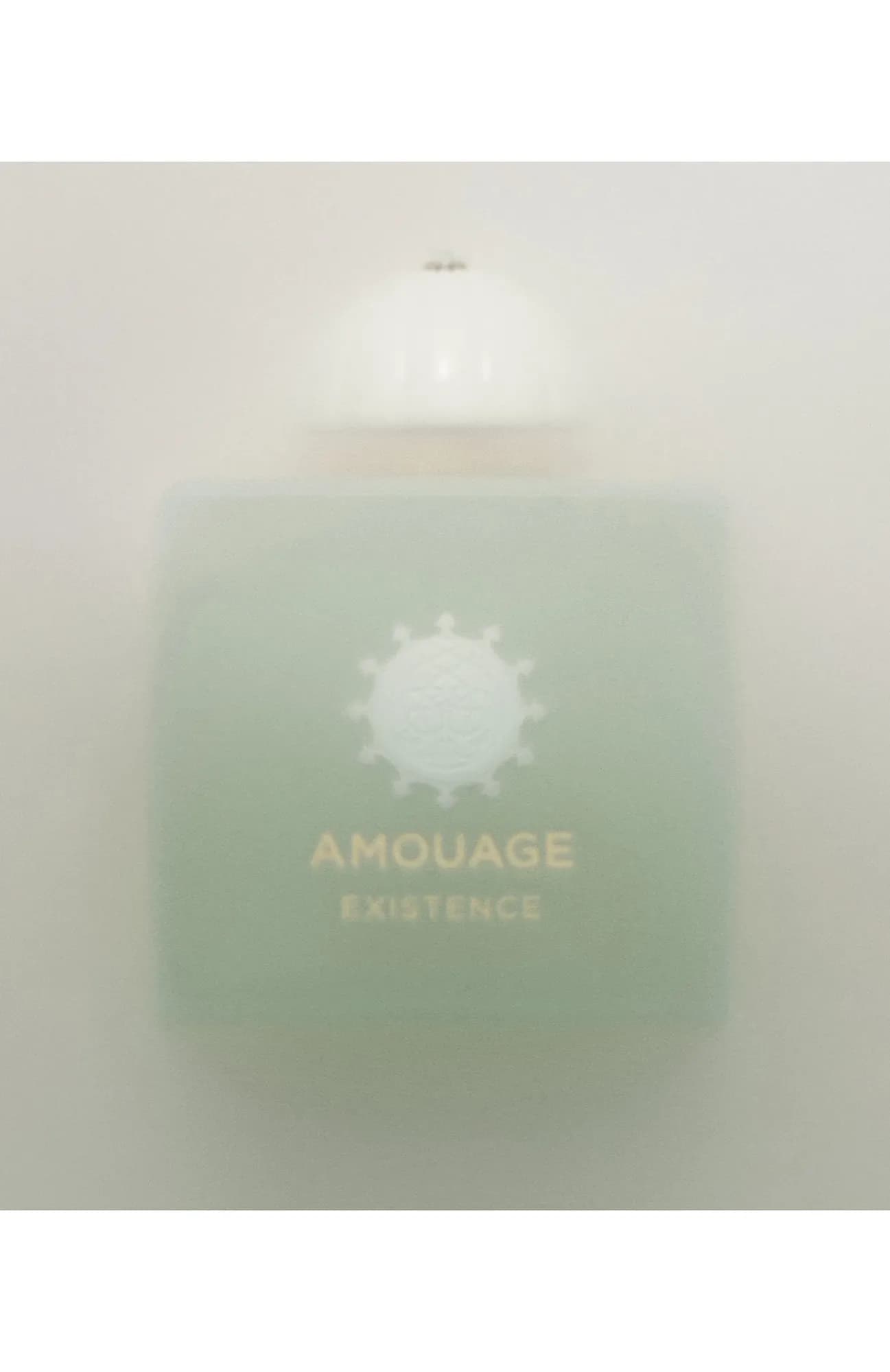 Amouage Парфюмерная вода Existence 100 мл