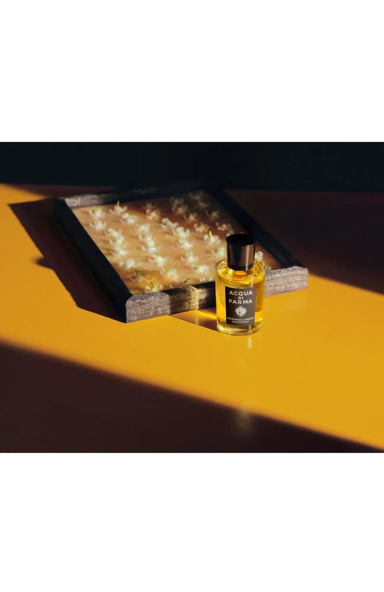 Acqua di Parma Парфюмерная вода Gelsomino A Freddo 50 мл