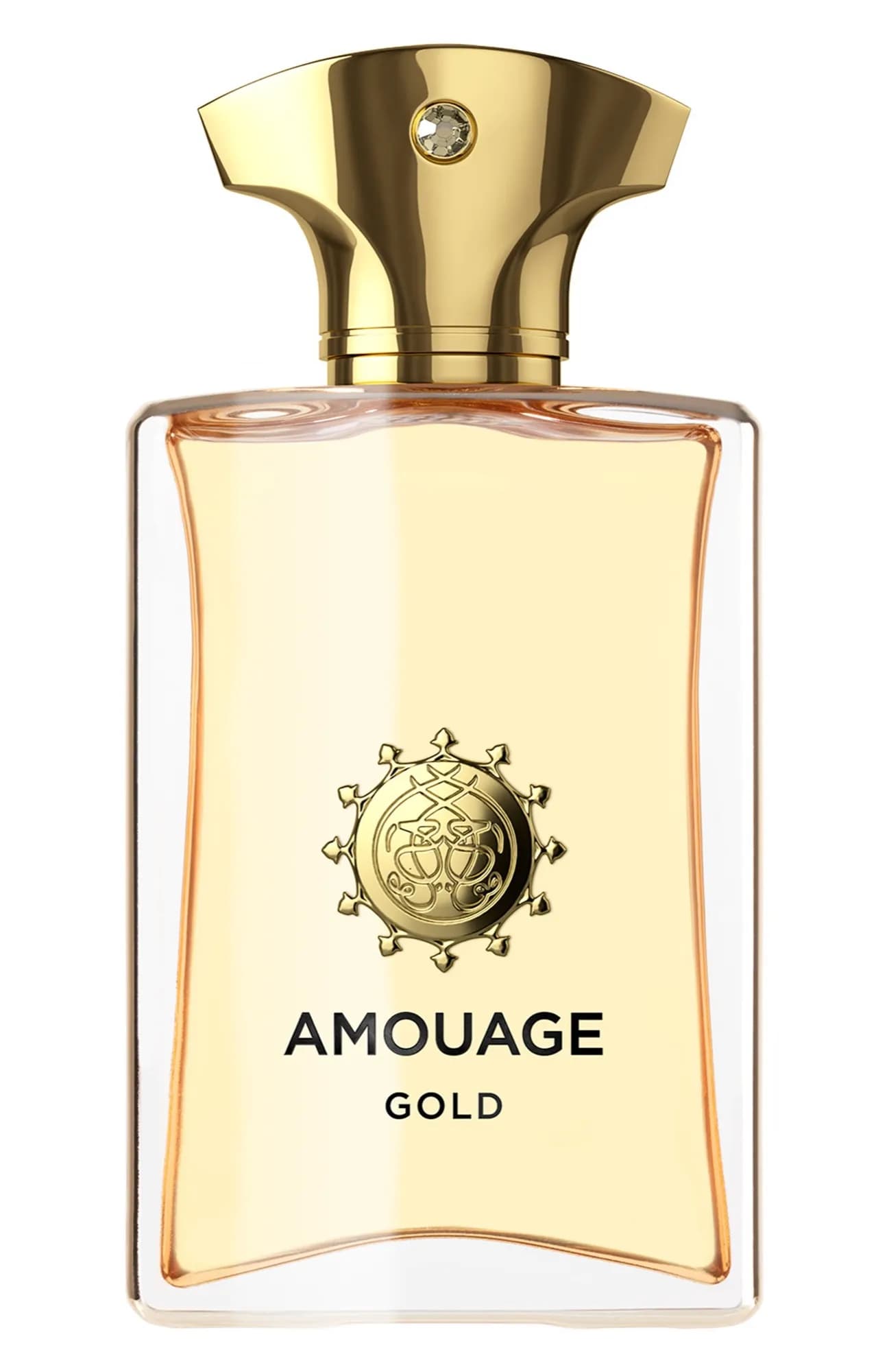 Amouage Парфюмерная вода Gold Man 100 мл