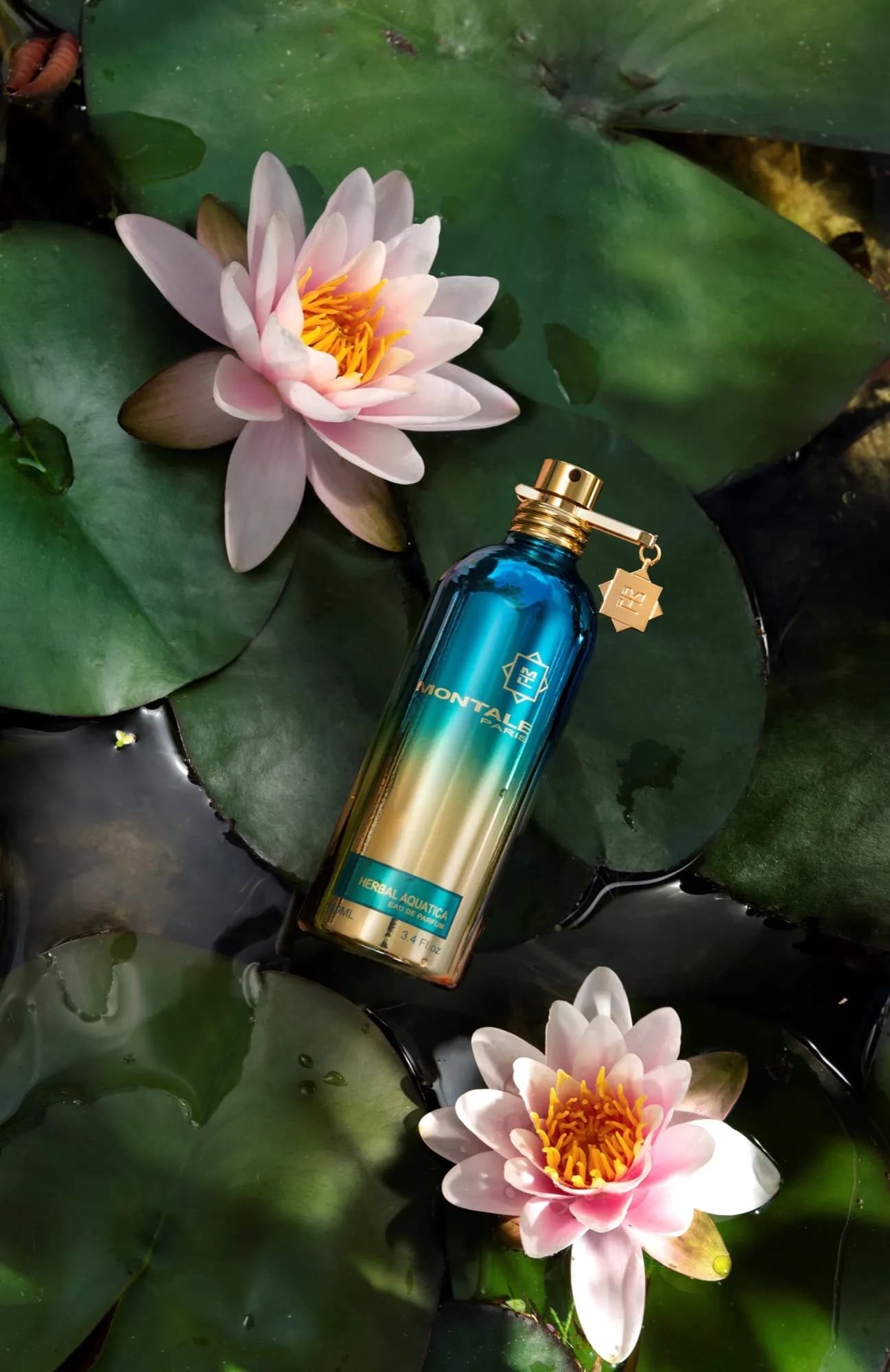 Montale Парфюмерная вода Herbal Aquatica 100 мл