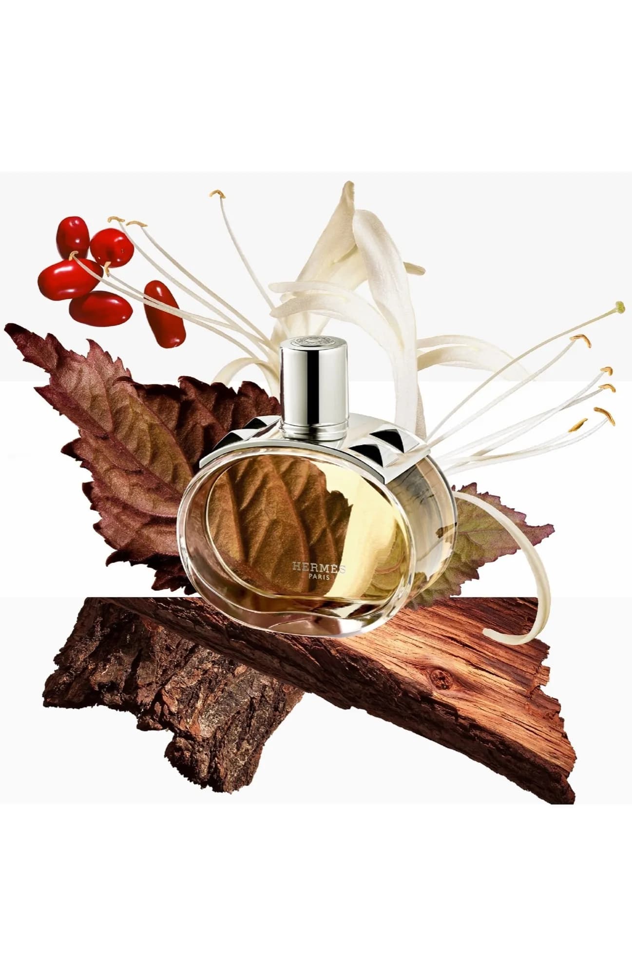 Парфюмерная вода Hermes Barenia
