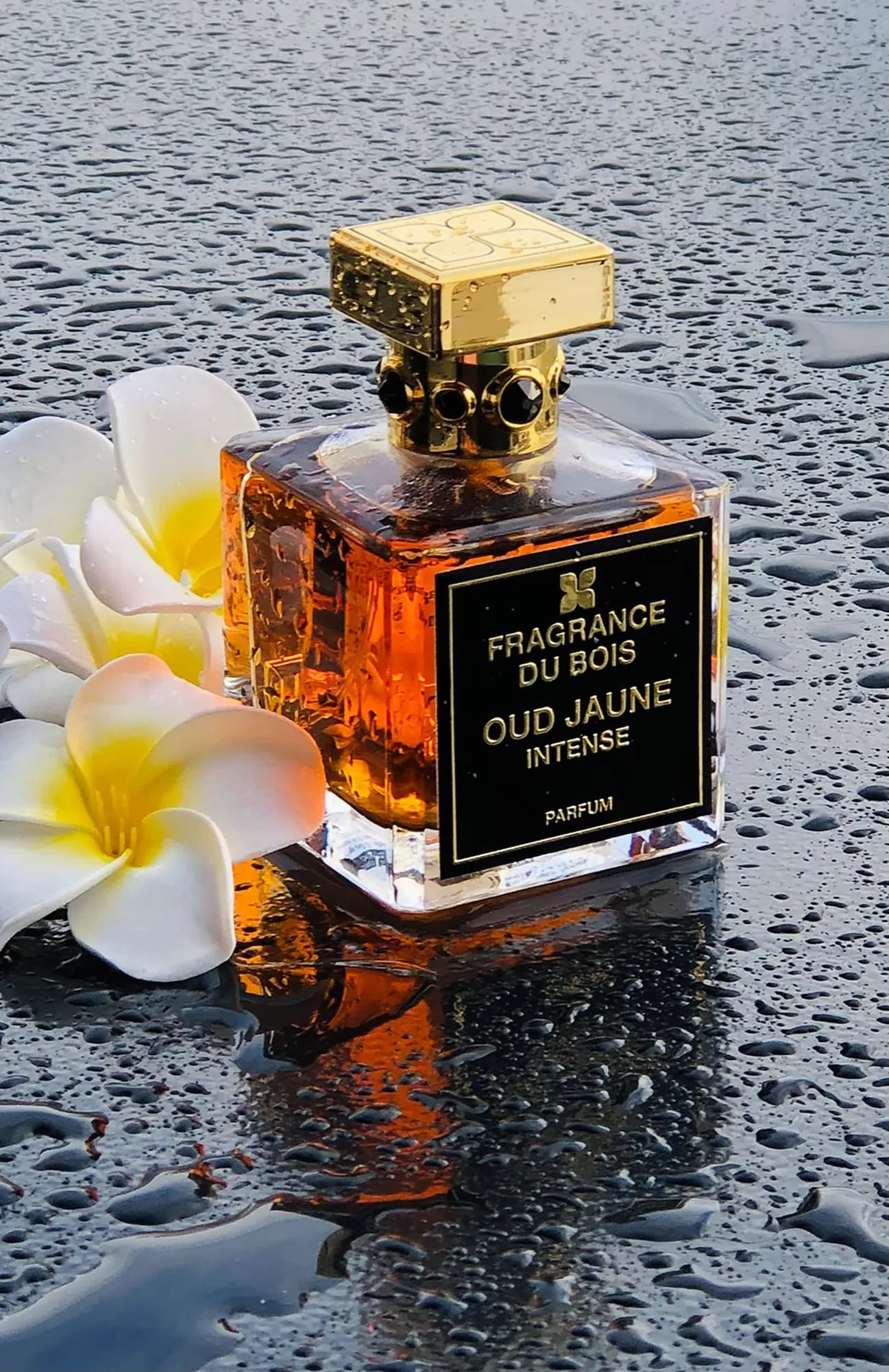 Fragrance Du Bois Парфюмерная вода Oud Jaune Intense 100 мл