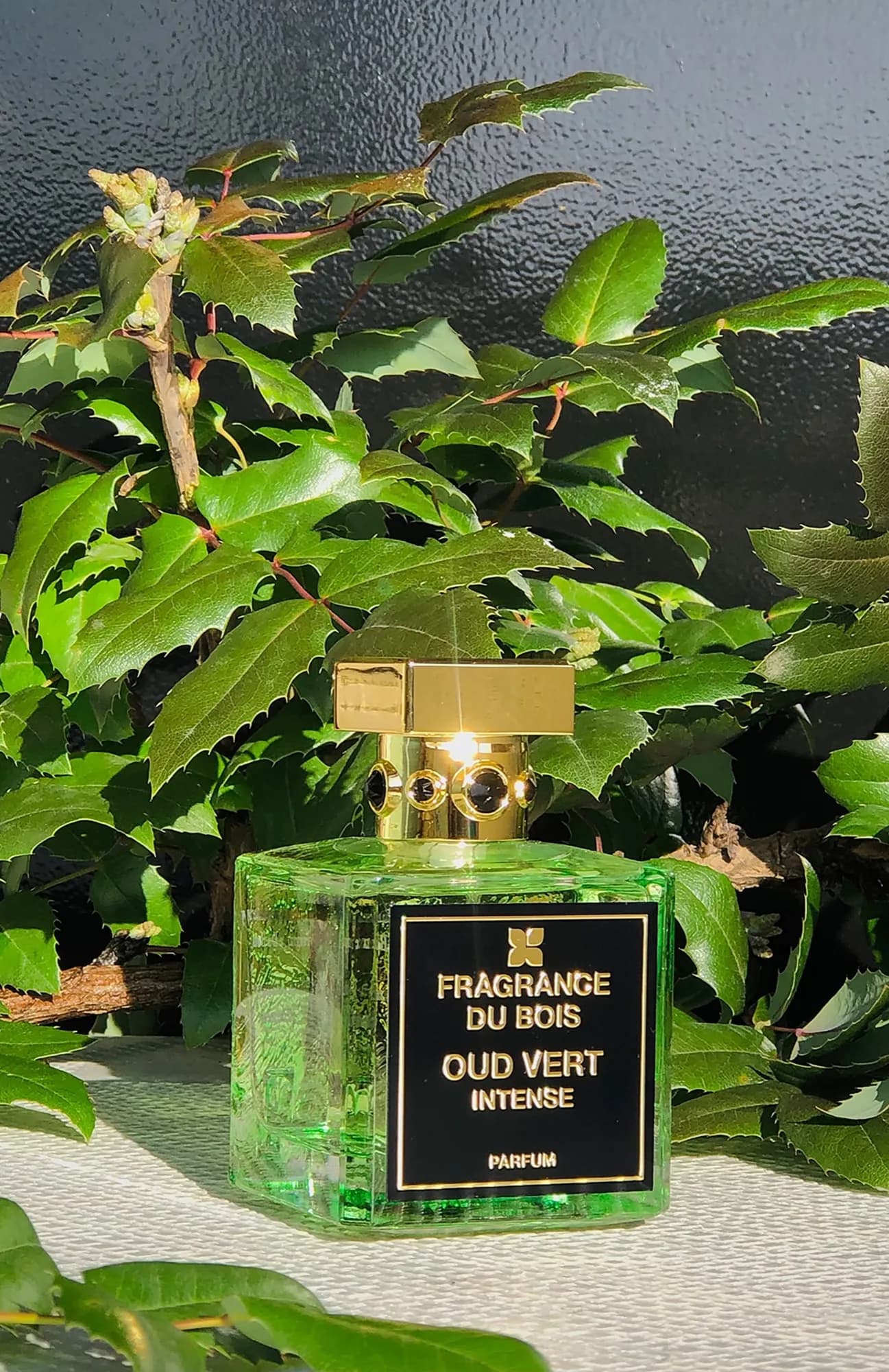 Fragrance Du Bois Парфюмерная вода Oud Vert Intense 100 мл