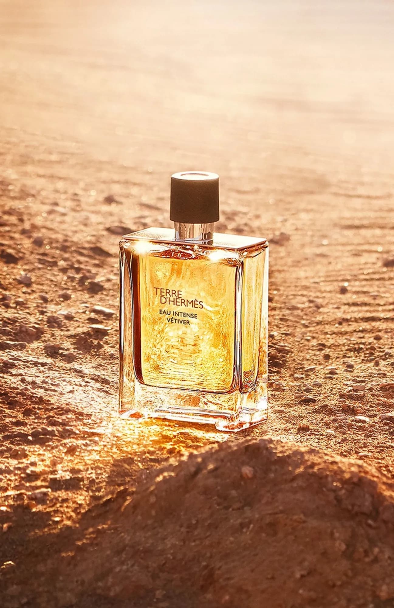 Hermès Парфюмерная вода Terre d'Hermès Eau Intense Vétiver 50 мл