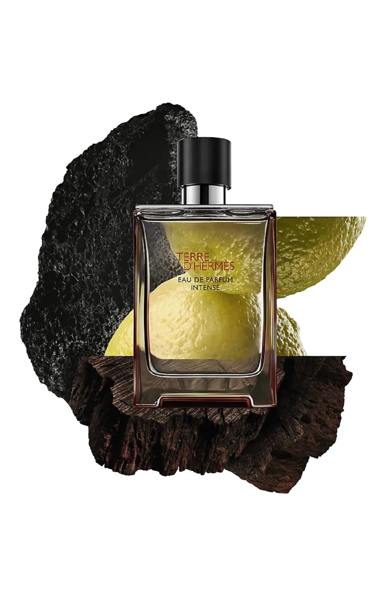 Hermès Парфюмерная вода Terre D`Hermes Eau De Parfum Intense 50 мл