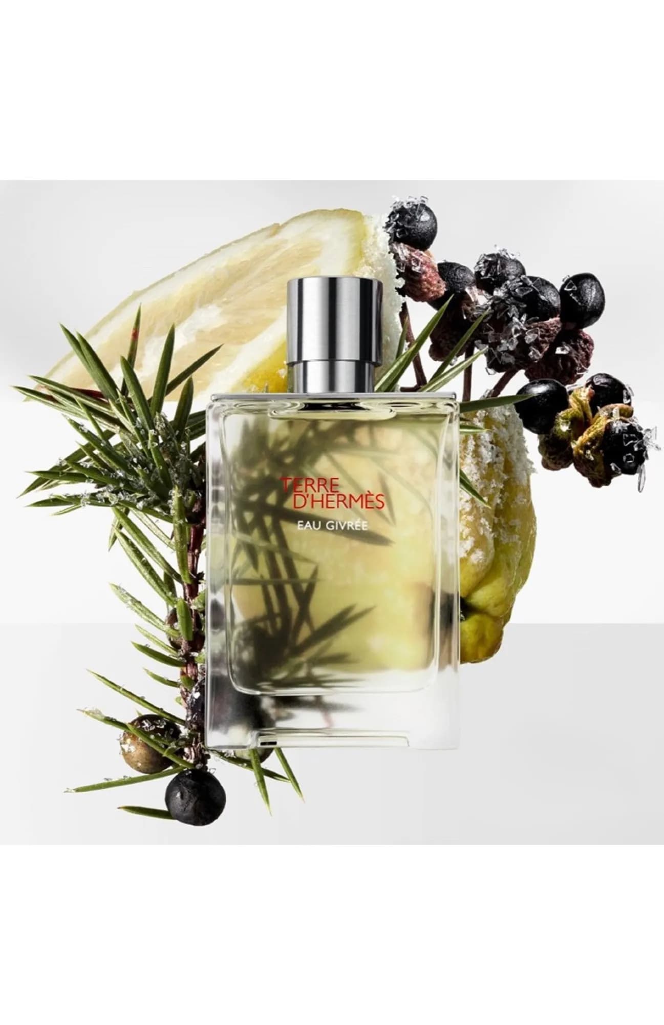 Hermès Парфюмерная вода Terre D`Hermes Eau Givree 50 мл