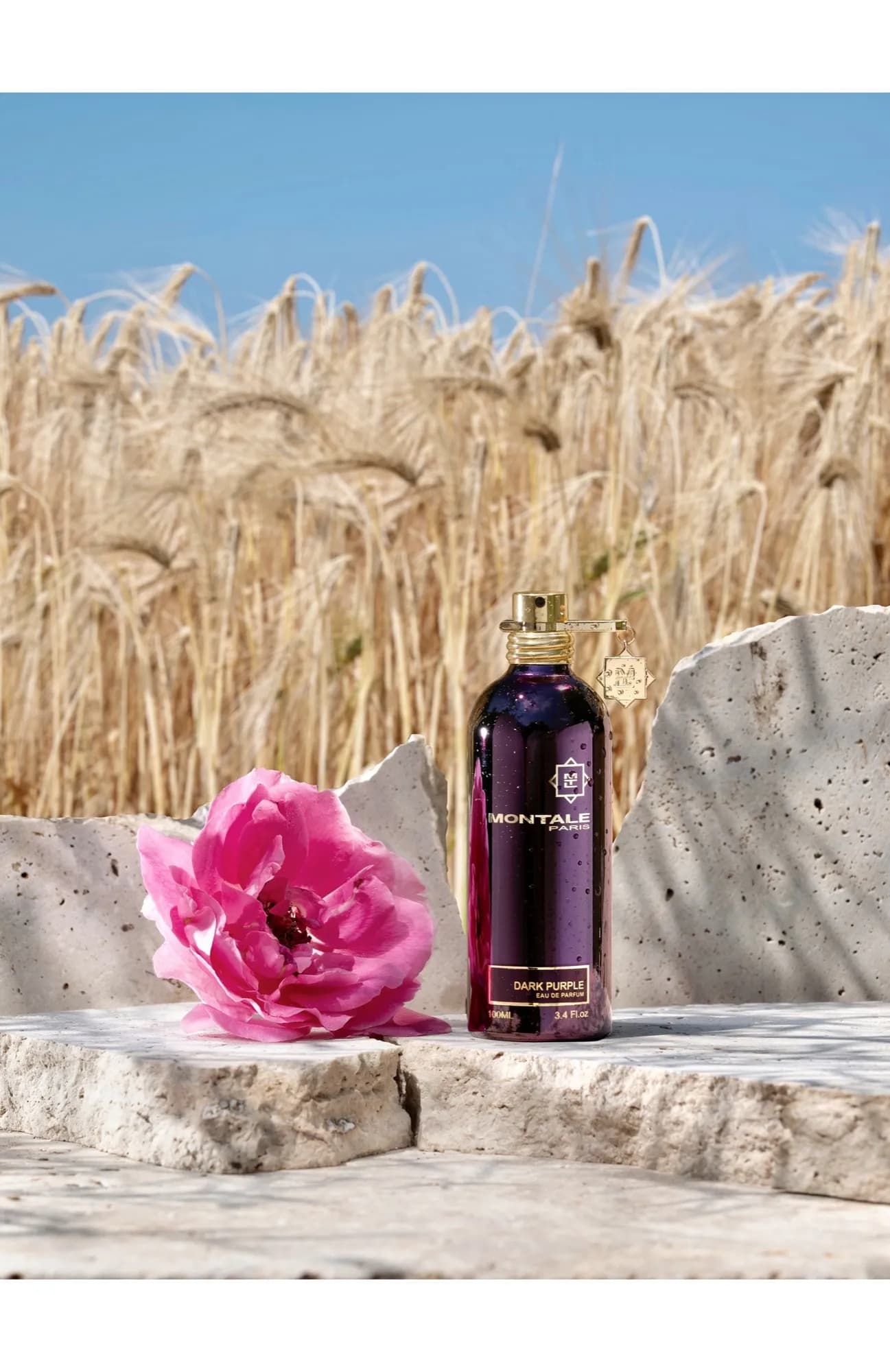 Montale Парфюмерная вода Dark Purple 100 мл